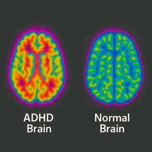 Reading Roost Learning Moment